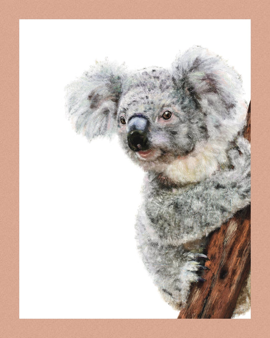 Kami the Koala Print