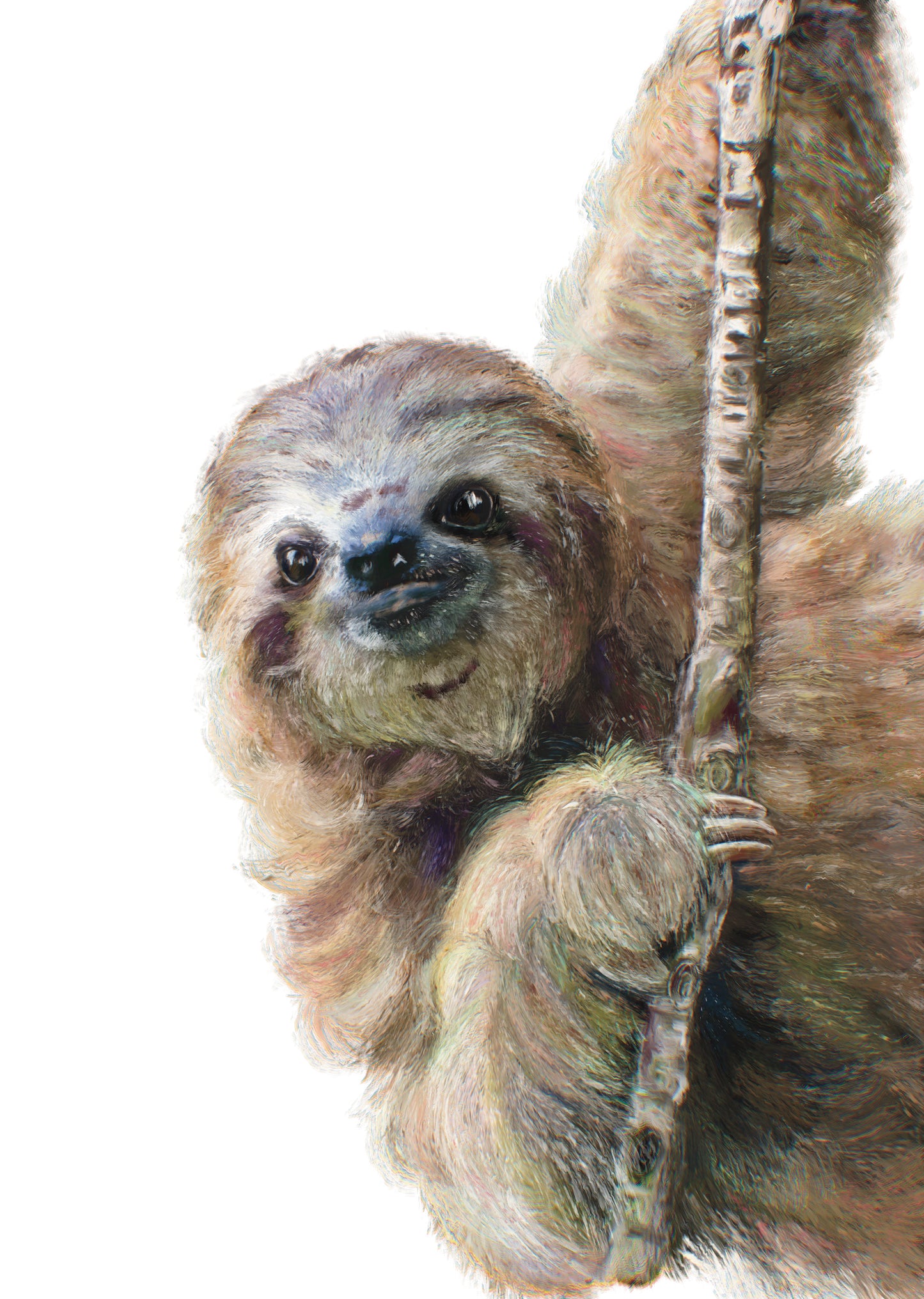 Stella the Sloth Print